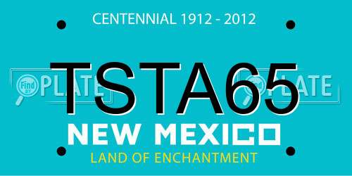 TSTA65 New Mexico License Plate