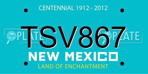TSV867 New Mexico License Plate