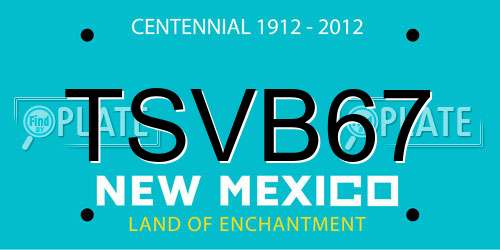 TSVB67 New Mexico License Plate