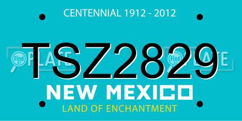 TSZ2829 New Mexico License Plate
