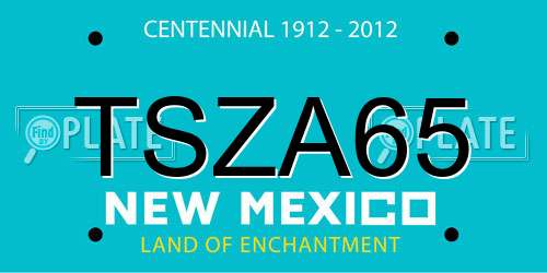 TSZA65 New Mexico License Plate