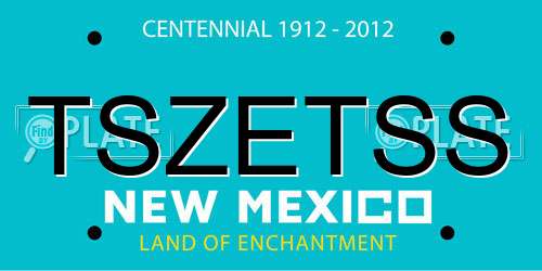 TSZETSS New Mexico License Plate
