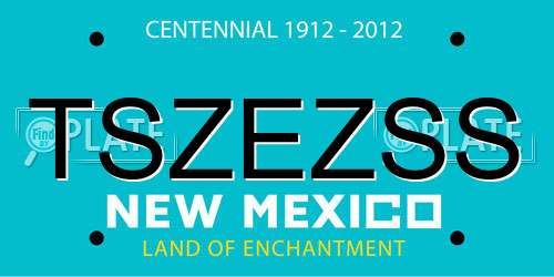 TSZEZSS New Mexico License Plate
