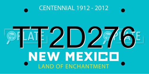 TT2D276 New Mexico License Plate