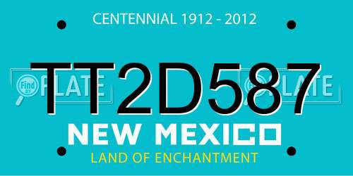TT2D587 New Mexico License Plate