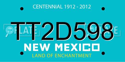 TT2D598 New Mexico License Plate