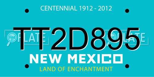 TT2D895 New Mexico License Plate