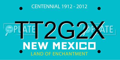 TT2G2X New Mexico License Plate