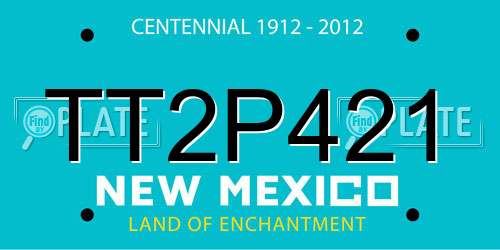 TT2P421 New Mexico License Plate