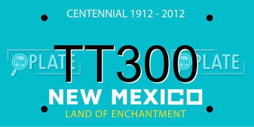 TT300 New Mexico License Plate