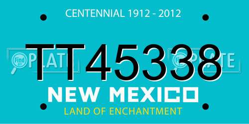 TT45338 New Mexico License Plate