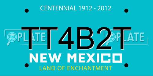TT4B2T New Mexico License Plate