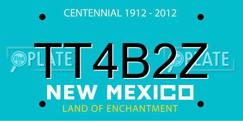 TT4B2Z New Mexico License Plate