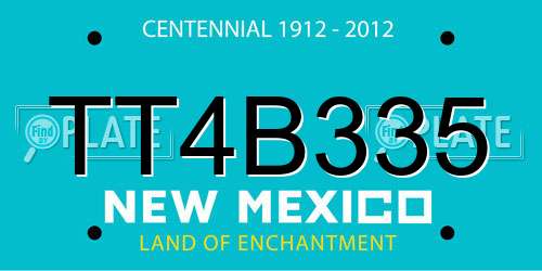 TT4B335 New Mexico License Plate