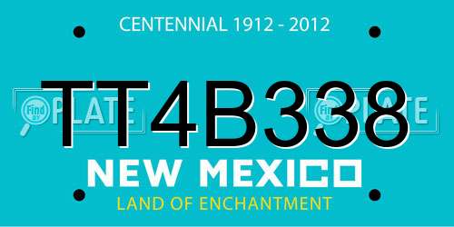 TT4B338 New Mexico License Plate