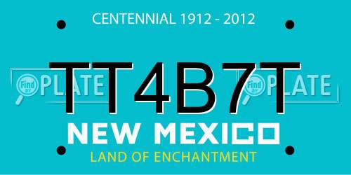TT4B7T New Mexico License Plate