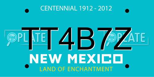 TT4B7Z New Mexico License Plate