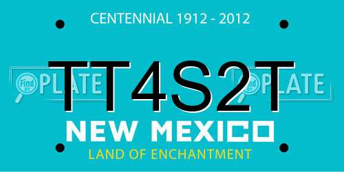 TT4S2T New Mexico License Plate