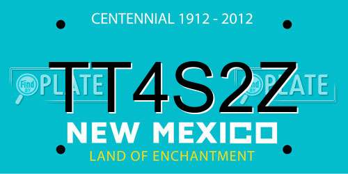 TT4S2Z New Mexico License Plate