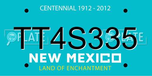 TT4S335 New Mexico License Plate