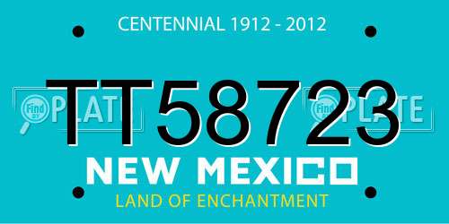 TT58723 New Mexico License Plate