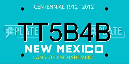 TT5B4B New Mexico License Plate