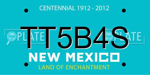 TT5B4S New Mexico License Plate