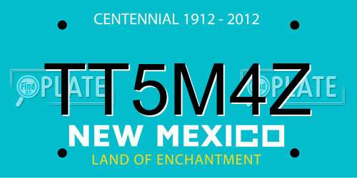 TT5M4Z New Mexico License Plate