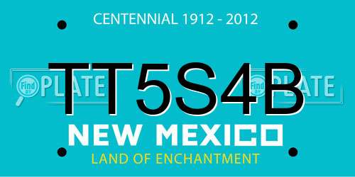 TT5S4B New Mexico License Plate
