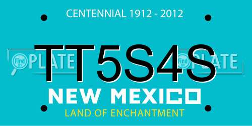 TT5S4S New Mexico License Plate
