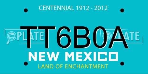 TT6B0A New Mexico License Plate