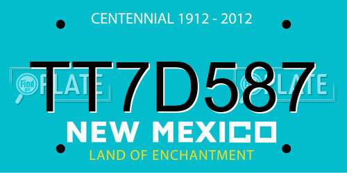 TT7D587 New Mexico License Plate