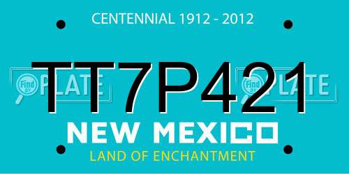 TT7P421 New Mexico License Plate