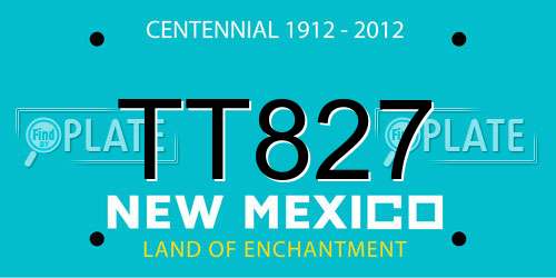 TT827 New Mexico License Plate