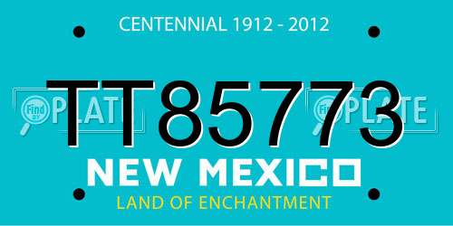 TT85773 New Mexico License Plate
