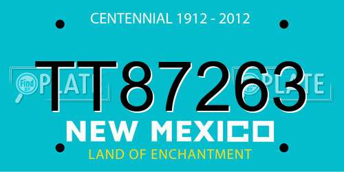 TT87263 New Mexico License Plate