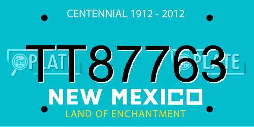 TT87763 New Mexico License Plate