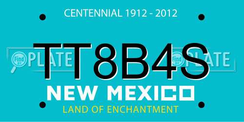 TT8B4S New Mexico License Plate