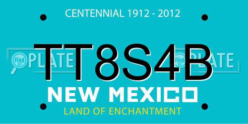 TT8S4B New Mexico License Plate