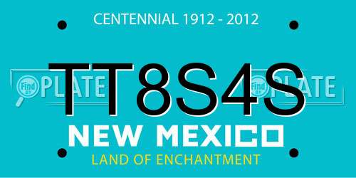TT8S4S New Mexico License Plate
