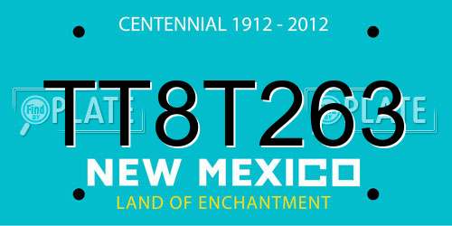 TT8T263 New Mexico License Plate