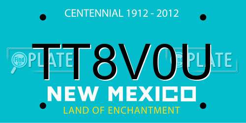 TT8V0U New Mexico License Plate