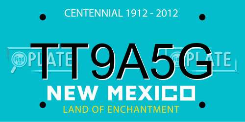 TT9A5G New Mexico License Plate