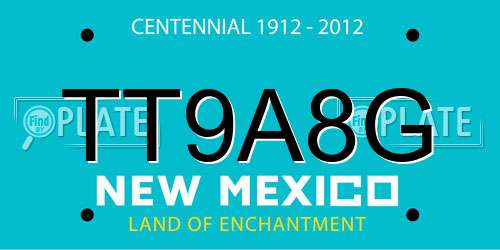 TT9A8G New Mexico License Plate