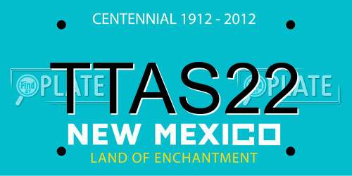 TTAS22 New Mexico License Plate