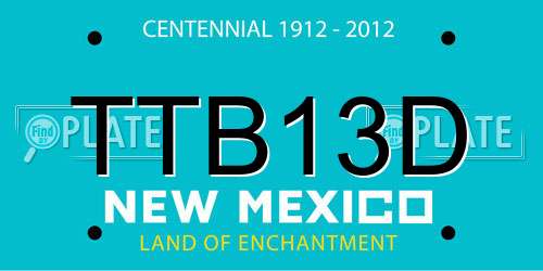 TTB13D New Mexico License Plate