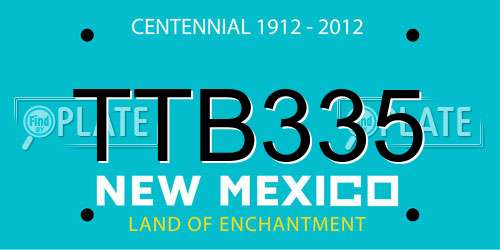 TTB335 New Mexico License Plate