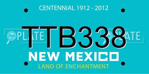 TTB338 New Mexico License Plate