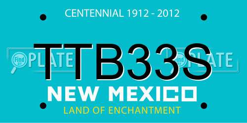 TTB33S New Mexico License Plate