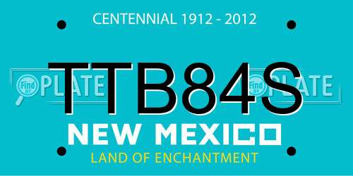 TTB84S New Mexico License Plate